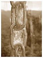 Photo Rain Chain a Unique Custom Feature