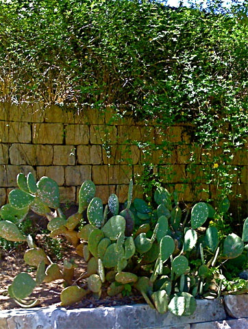 Michaels Cove Retaining Wall andFence 03