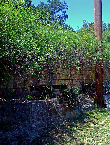 Mike Cove Retaining Wall And Fence 04